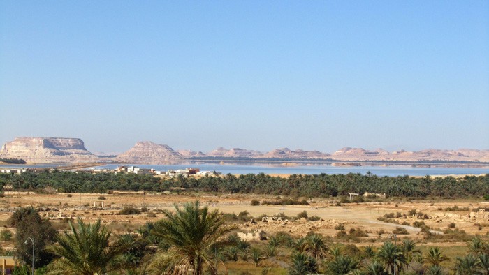 Siwa Oasis Family tour